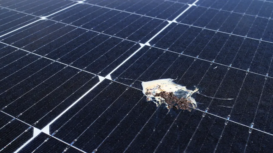 How to Avoid a Solar Panel Scam