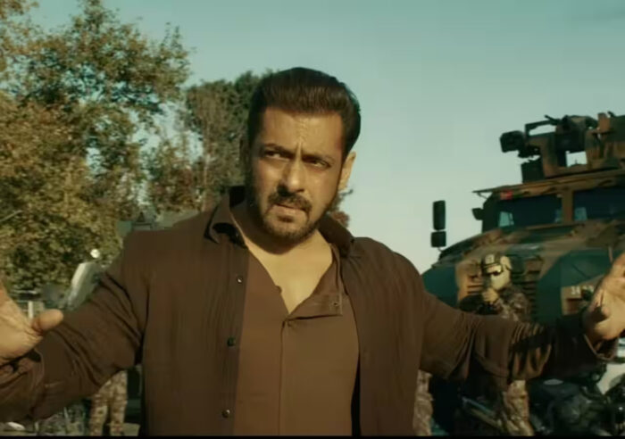 Tiger 3, Salman Khan, Tiger 3 Box Office Collection,